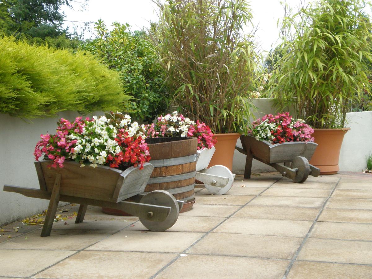 Shamrock Garden B&B Airport Крайстчърч Екстериор снимка