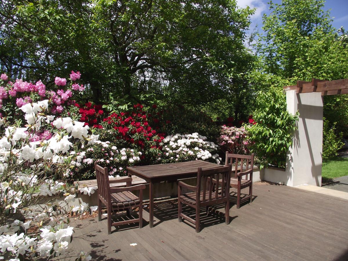Shamrock Garden B&B Airport Крайстчърч Екстериор снимка